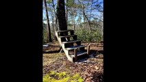 Escaleras en el bosque