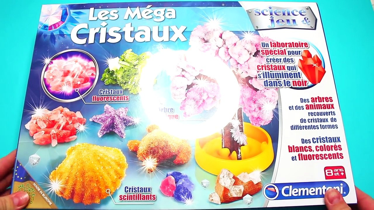 Comment faire des cristaux  Diy arbre magique !...