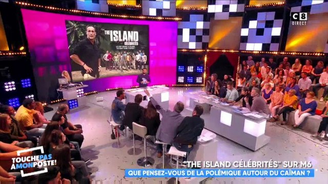 Touche pas à mon poste : Michael Youn très agacé par un débat sur The Island Célébrités