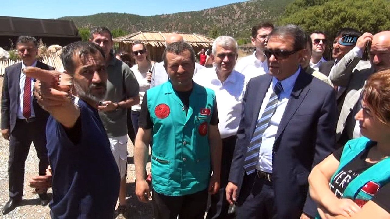 Tedavisi tamamlanan leylek, baykuş ve çakal doğaya salındı