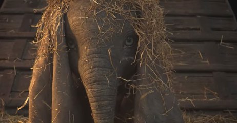 Disney dévoile la bande annonce de "Dumbo" réalisé par Tim Burton