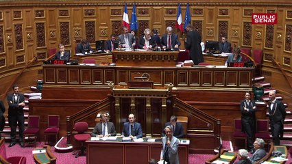 Adoption définitive de la réforme ferroviaire après le vote du Sénat