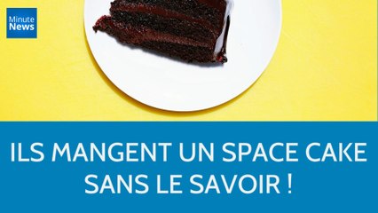 Ils ont mangé un space cake sans le savoir !