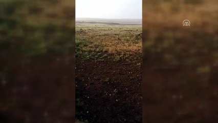 Şanlıurfa'da dolu yağışı