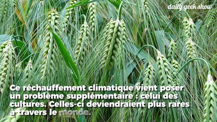 De nombreux légumes vont disparaître à cause du changement climatique