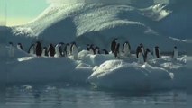 Allarme Antartide: i ghiacci si sciolgono troppo velocemente