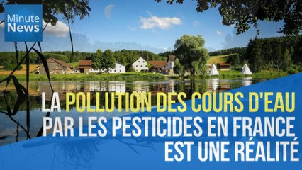 La pollution des cours d'eau par les pesticides en France est une réalité