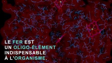 Carence en fer :  les 3 symptômes