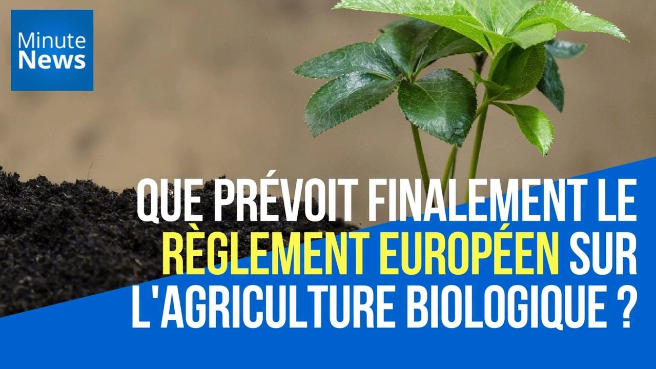 Que prévoit finalement le règlement européen sur l'agriculture biologique ?