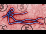 5 Things You Need To Know About The Ebola Virus