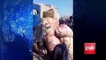 شکایت باشنده‌گان ولسوالی دشت ارچی کندز از بدرفتاری یک فرمانده پولیس محلیگزارش از تمیم حمید
