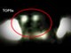 5 Most Believable Encounters People Have Had With Extraterrestrials