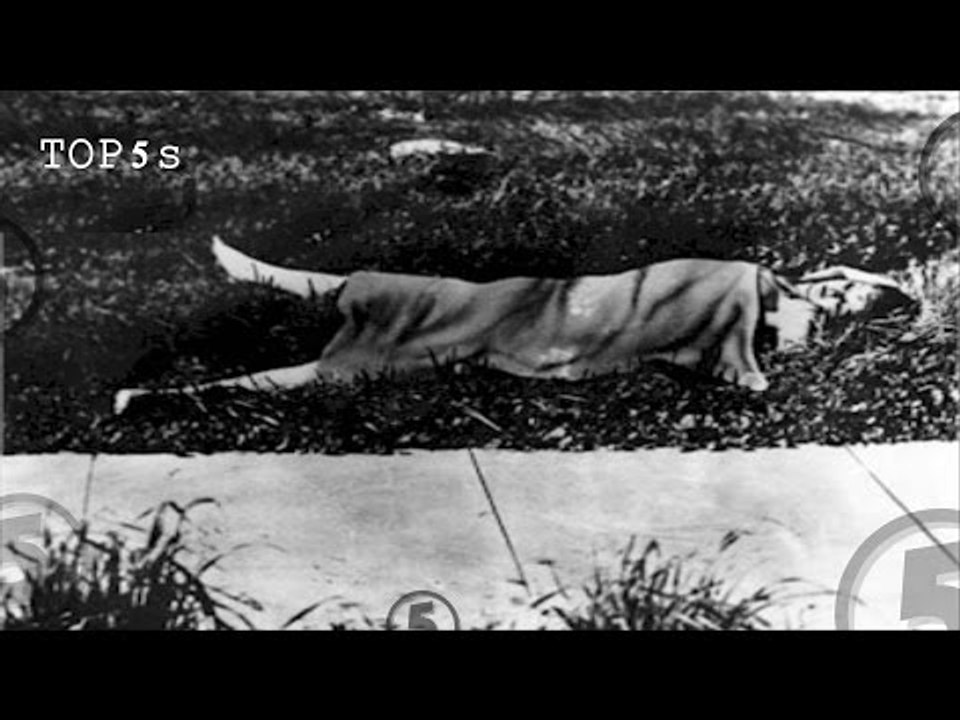 5 Darkest Unsolved Murders In History