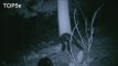 5 Most Compelling Pieces Of Bigfoot Evidence