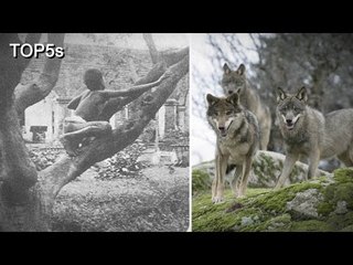 5 Incredible Stories of Feral Children Being Raised by Animals
