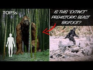 5 Biggest & Scariest Animals You're Glad Are Now Extinct...