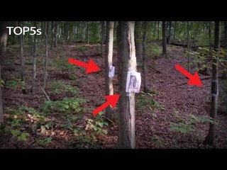 5 Strangest & Scariest Things Discovered in the Forest