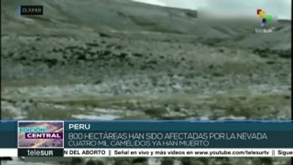 Perú: intensa e inusual ola de frío deja 150 fallecidos