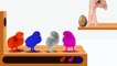 Learn Colors with Colorful Chicks Xylophone Funny Animals Colors Videos for Kids | RainbowPlayTV