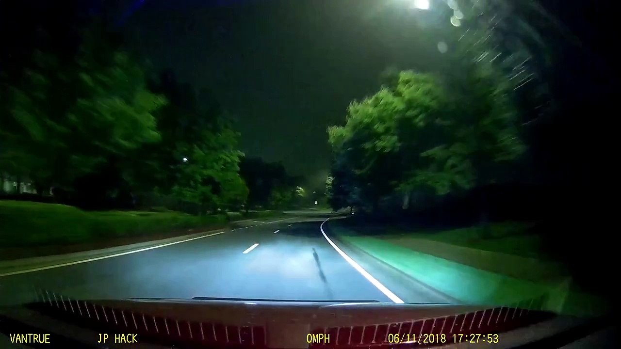 Road Cat Rescue