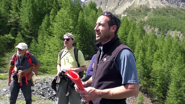 Alpes de Haute-Provence : la carrière de marbre de Maurin, pépite de l'Ubaye