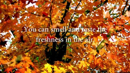 Reconnect your Senses Through the Magic of Nature #healthandwellbeing