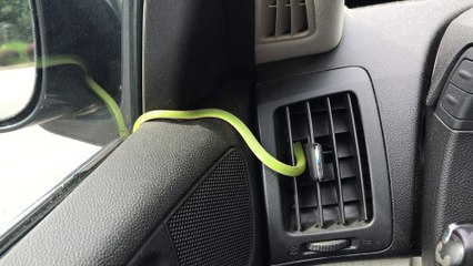 Sneaky Snake Finds Way Into Sedan