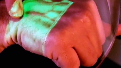 Inside the Human Body - First to Last