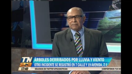 Árboles derribados por lluvia y viento