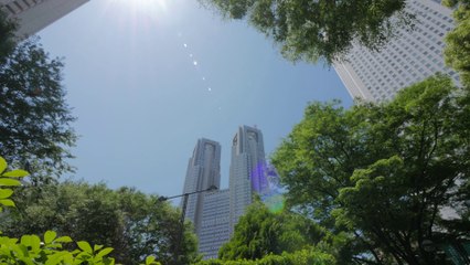 Music Grapher - Shinjuku Skyscraper (Official Music Video)