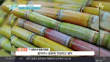 관리의 달인이 공개하는 건강 식습관과 홈 트레이닝 비법!