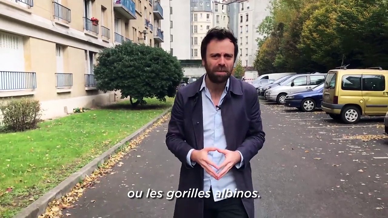 Depuis quand ça existe les chats sans poils ? Pour le savoir Depuis Quand en a acheté un et lui a mis de la crème dessus. Il a kiffé.