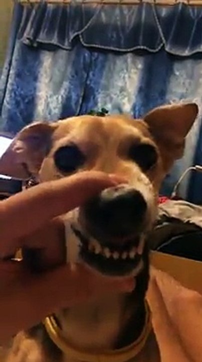 =D =D =D