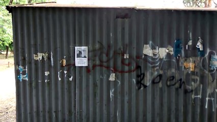 Illusion d'optique avec la photo d'un chat