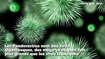 Ces virus géants sont capables de coder leur propre génome