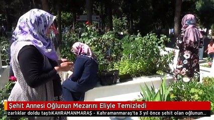 Şehit Annesi Oğlunun Mezarını Eliyle Temizledi
