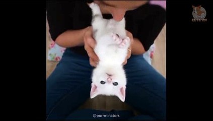 온라인경마사이트 , 인터넷경마사이트 , RACC55 ,C0M 경마예상지