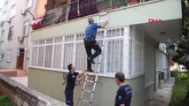 Antalya Balkonda Mahsur Kalan Yavru Kediler Kurtarıldı