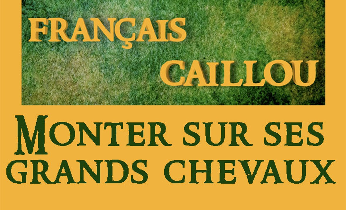 Français caillou / Définition du jour : "Monter sur ses grands chevaux"