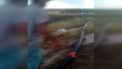 Siverek’te ekili tarlaları dolu vurdu