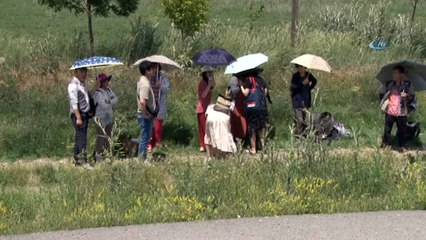 Video herunterladen: Güney Koreli kafileyi taşıyan otobüs ile traktör çarpıştı: 1 Koreli toplam 3 yaralı