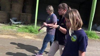 Investir ou mourir, les zoos dans une course à l'innovation