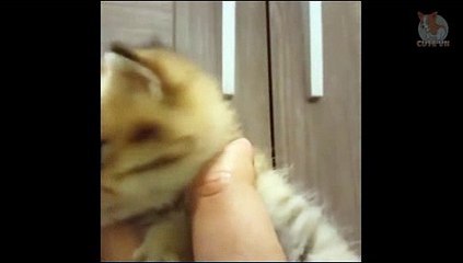 인터넷경마싸이트 , 온라인경마싸이트 , RACC55 ,C0M  검빛닷컴