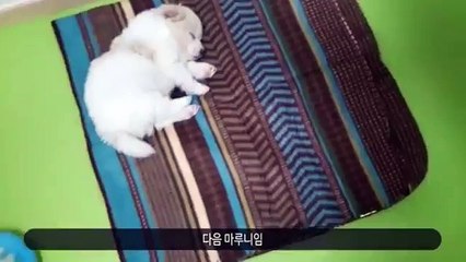 [김포출장샵]≫김포콜걸く[HIS34,NET] 김포콜걸샵リ[카톡:HIS55] 일본인출장안마(추천)リ콜걸여대생출장만남リ미시콜걸만남リ김포출장업소リ