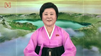 Trump Joked About North Korean State TV Anchor Getting A Job At Fox News: Report