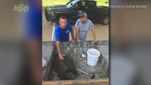 Fishermen In Oklahoma Catch Massive Alligator Snapping Turtle