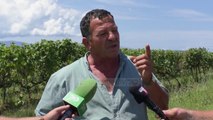 Breshëri në Vlorë dëmton të mbjellat - Top Channel Albania - News - Lajme
