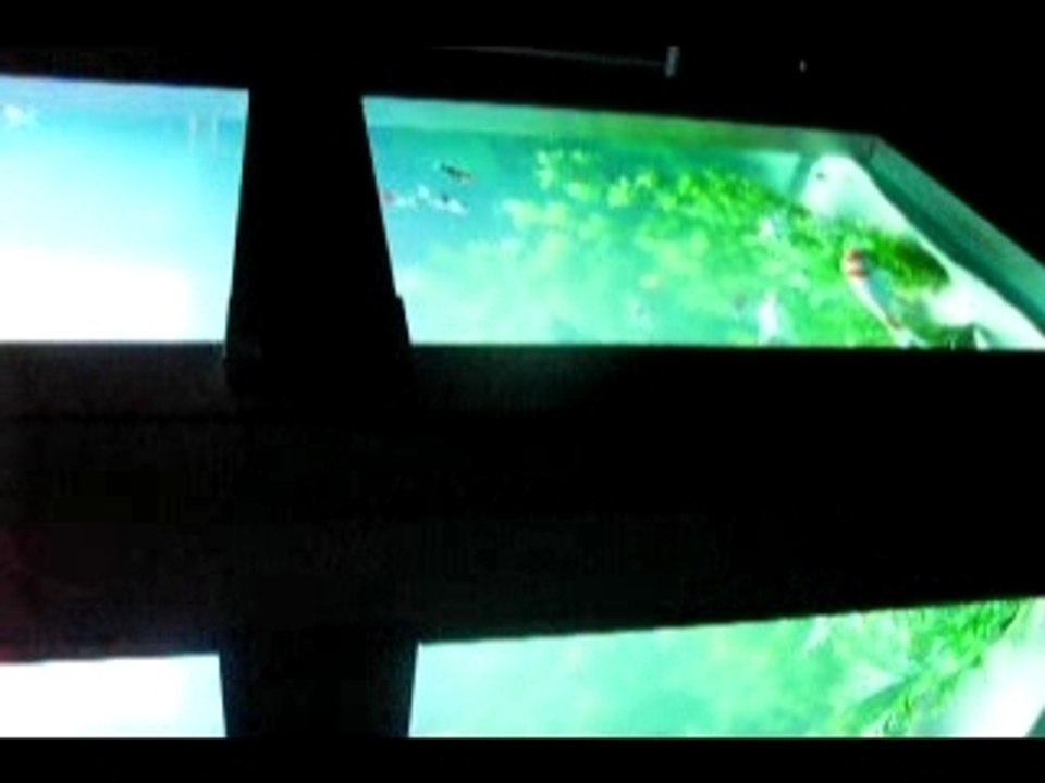 Lyon fête des lumières 07 Aquarium téléphonique