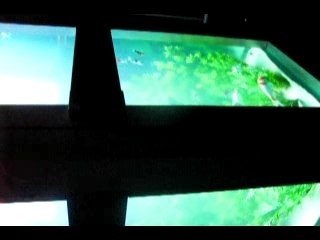 Lyon fête des lumières 07 Aquarium téléphonique