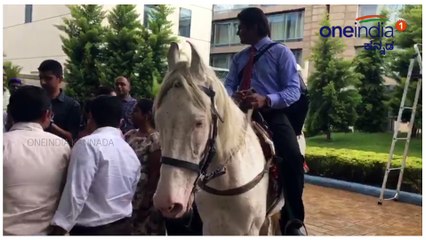 ಬೆಂಗಳೂರಿನ ಟ್ರಾಫಿಕ್ ಗೆ ಬೇಸತ್ತು ತನ್ನ ಕೆಲಸದ ಕೊನೆ ದಿನ ಕುದುರೆ ಸವಾರಿ ಮಾಡಿದ ಟೆಕ್ಕಿ | Oneindia kannada